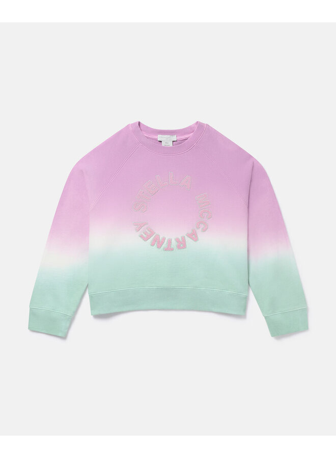 Sweatshirt colorful