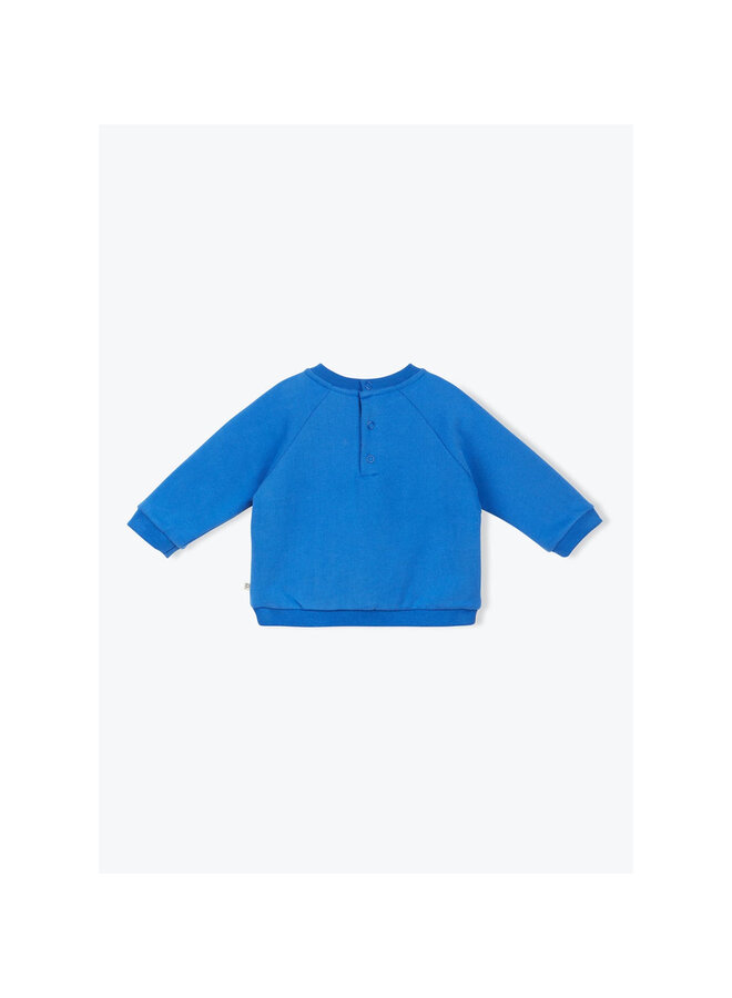 Enzy , Sweater , Blue Electric