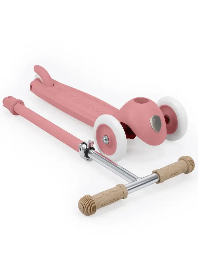 Banwood scooter raspberry