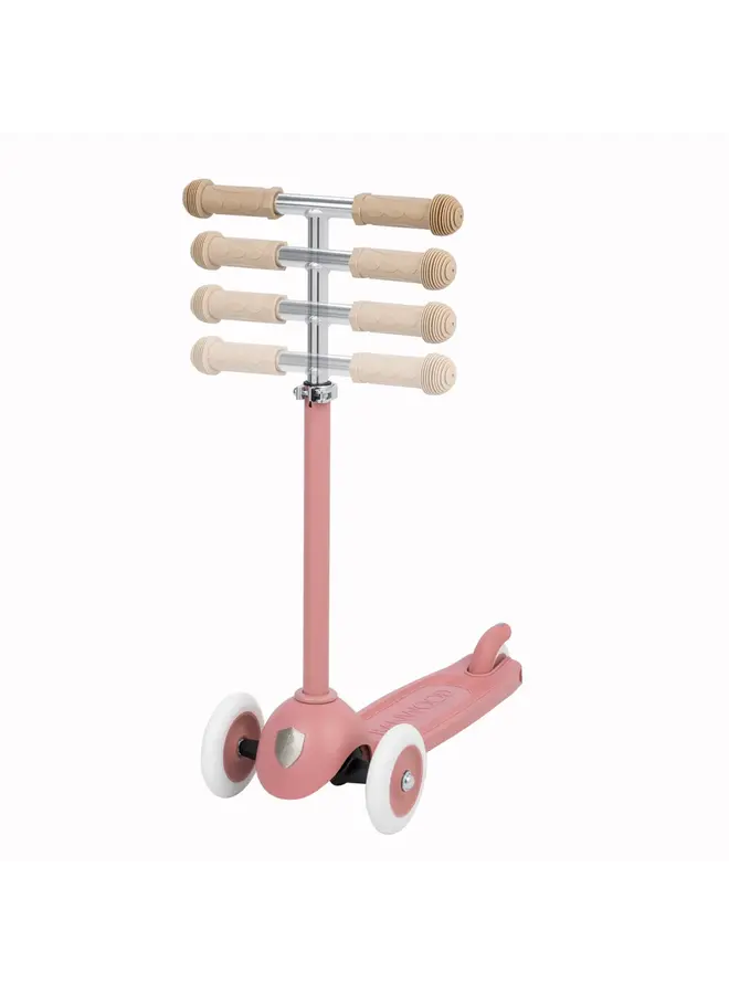 Banwood scooter raspberry