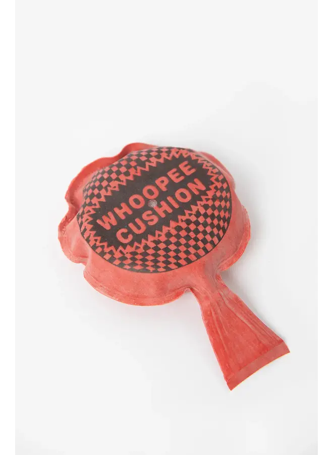 Mini scheetkussen