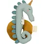 Rattle seahorse
