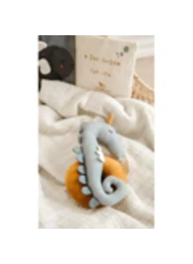 Rattle seahorse
