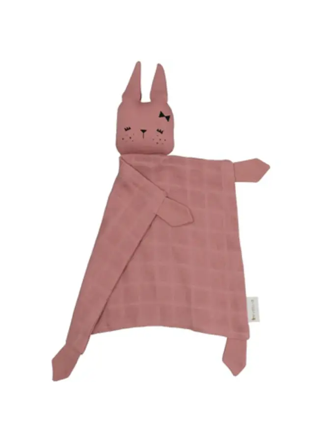 Animal cuddle bunny clay