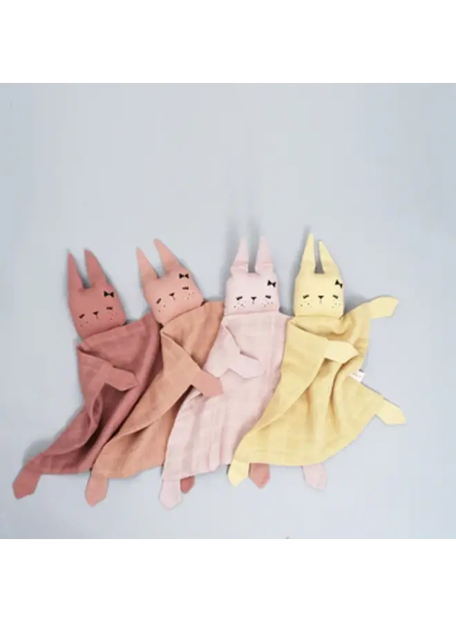 Animal cuddle bunny clay