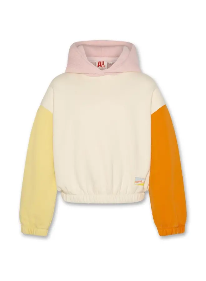 Bladesweater patch-multicolour