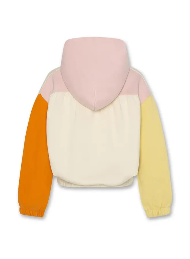 Bladesweater patch-multicolour