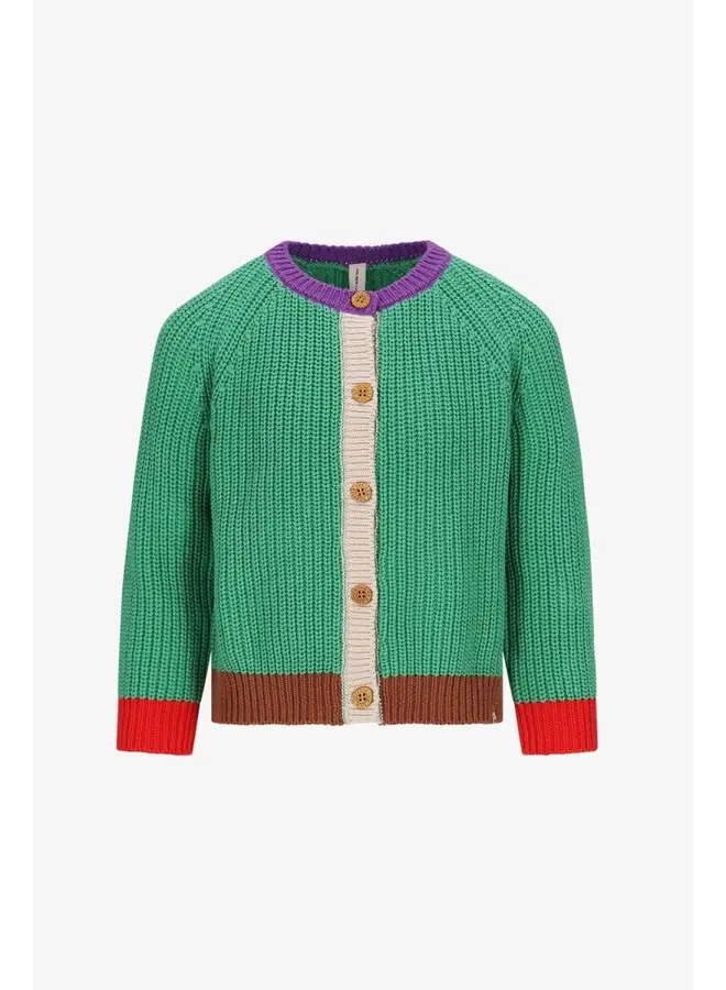Miles Knitted Cardigan Medium Green
