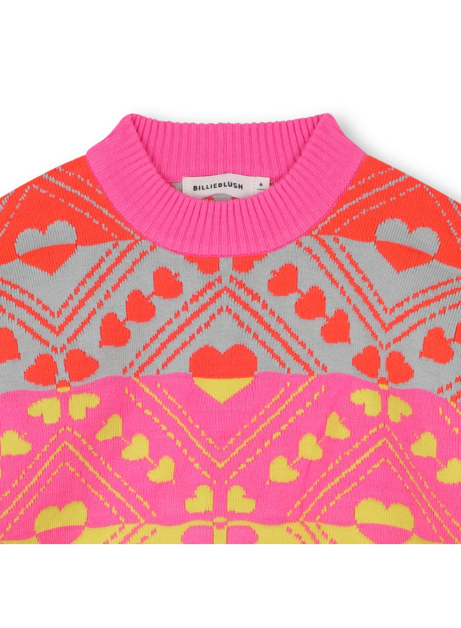 Trui Roze U21388