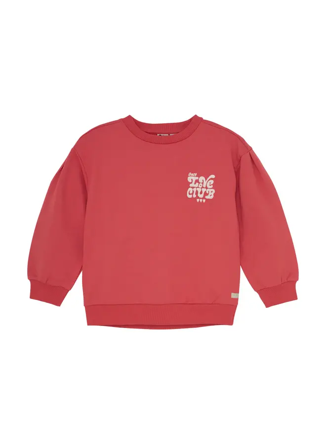 Sweater Brushed Print Baked apple