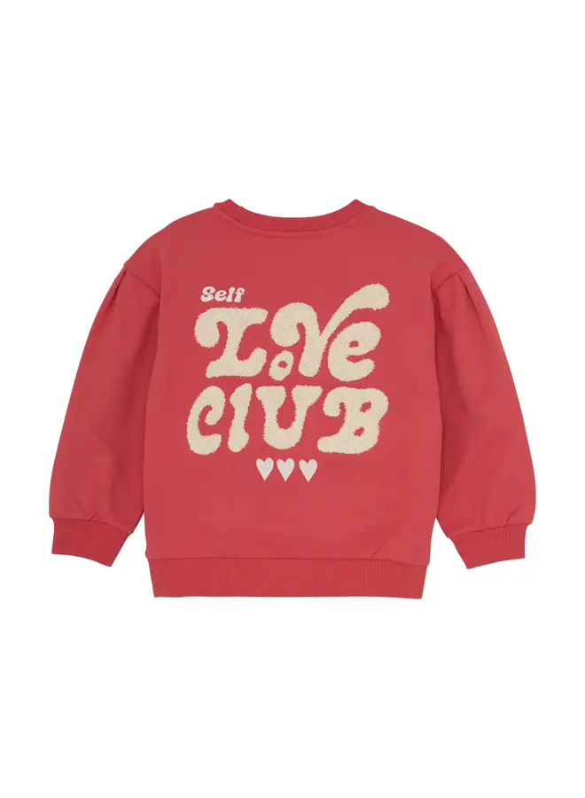Sweater Brushed Print Baked apple