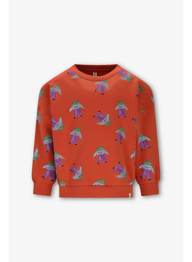 Bobbie Sweater Frogs