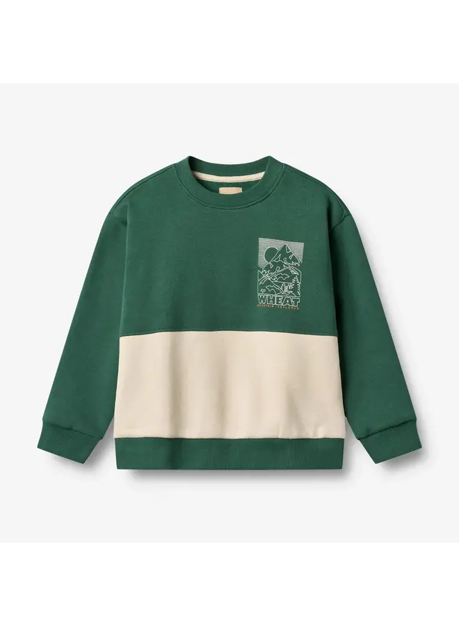 Sweater Steff Kale