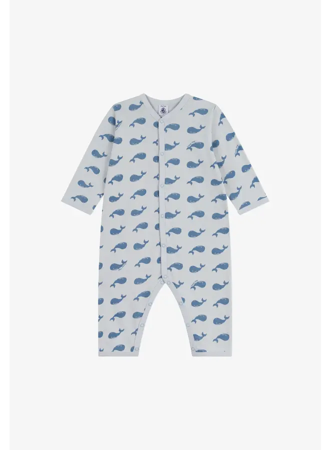 Dors Bien SP CO2/Adriatic A0E6A