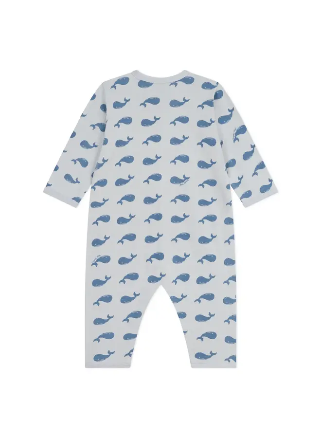 Dors Bien SP CO2/Adriatic A0E6A