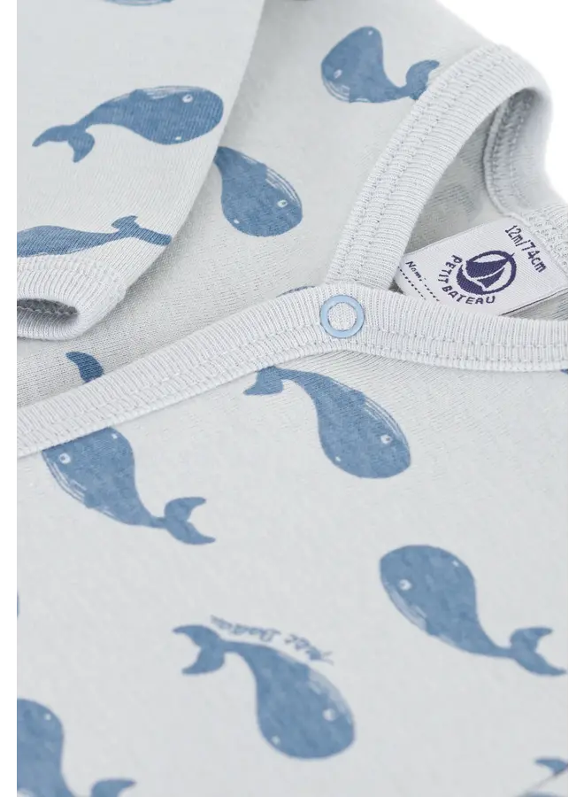 Dors Bien SP CO2/Adriatic A0E6A