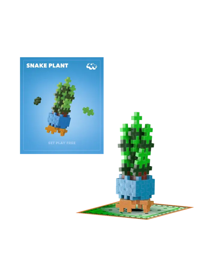 Plant Pack Snake Plant