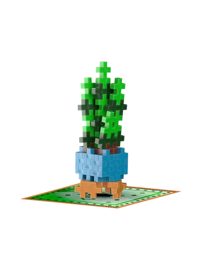 Plant Pack Snake Plant