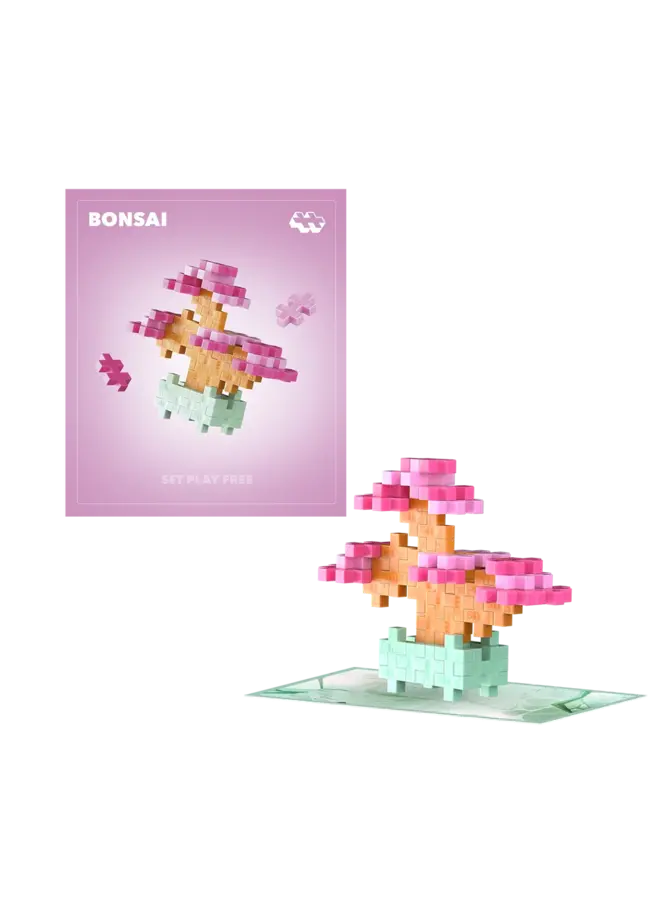 Plant Pack Pink Bonsai