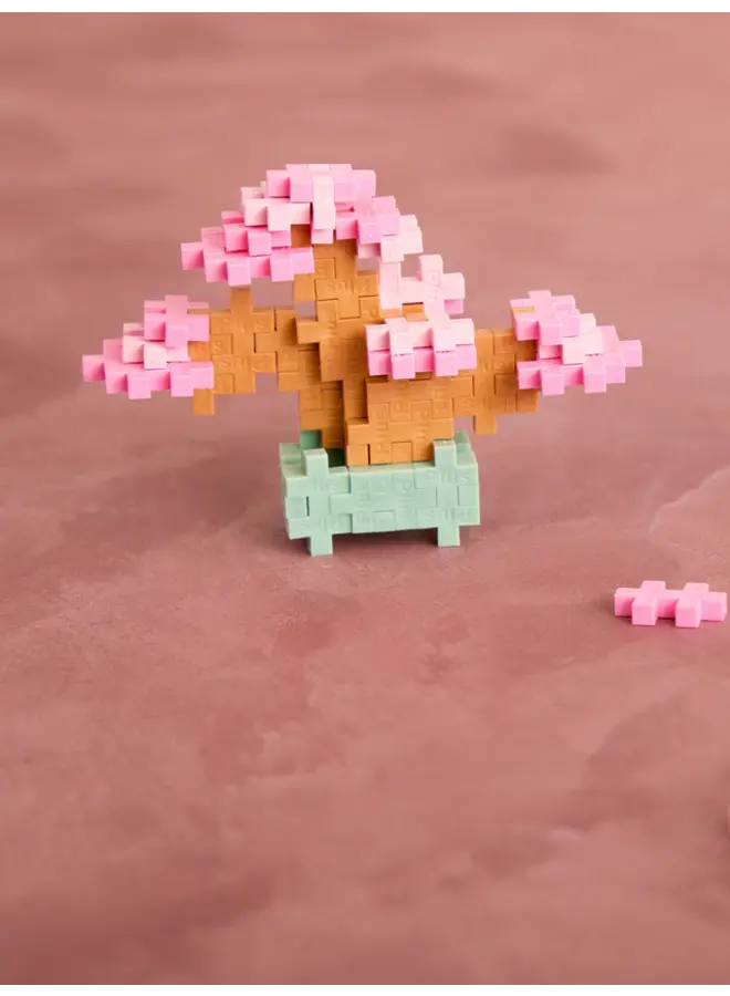 Plant Pack Pink Bonsai