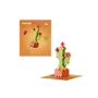 Plant Pack Cactus