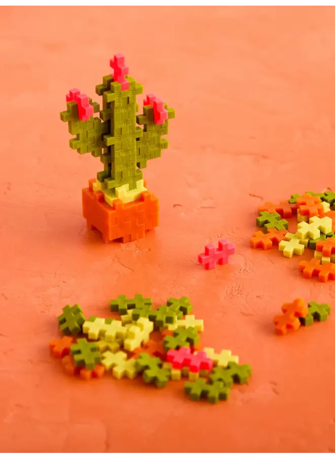 Plant Pack Cactus