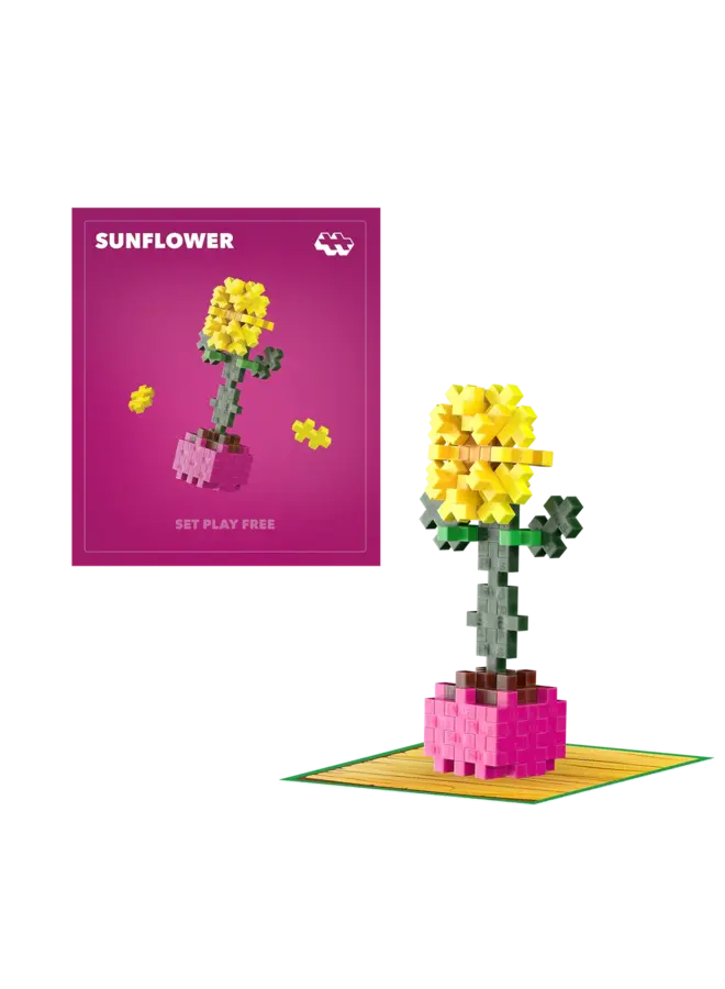 Plant Pack Sunflower