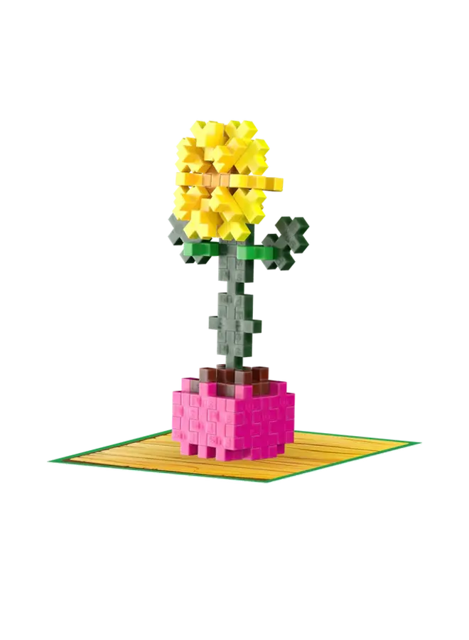 Plant Pack Sunflower