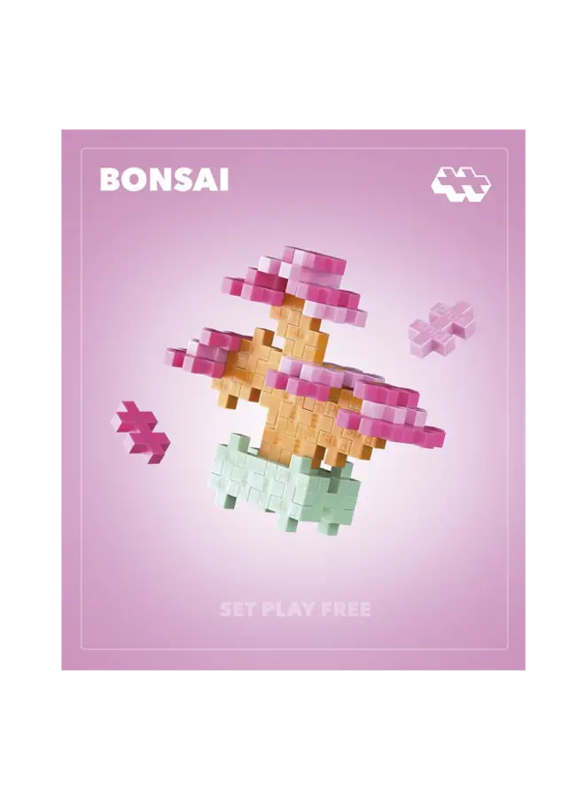 Plant Pack Green Bonsai