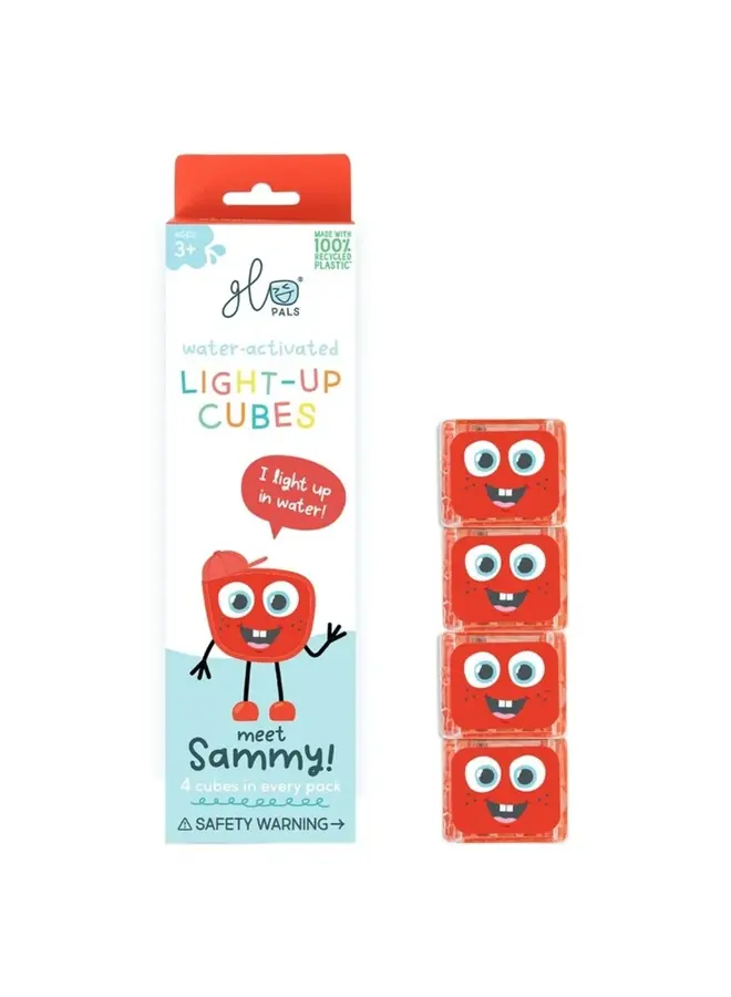 GloPals cubes Sammy Rood