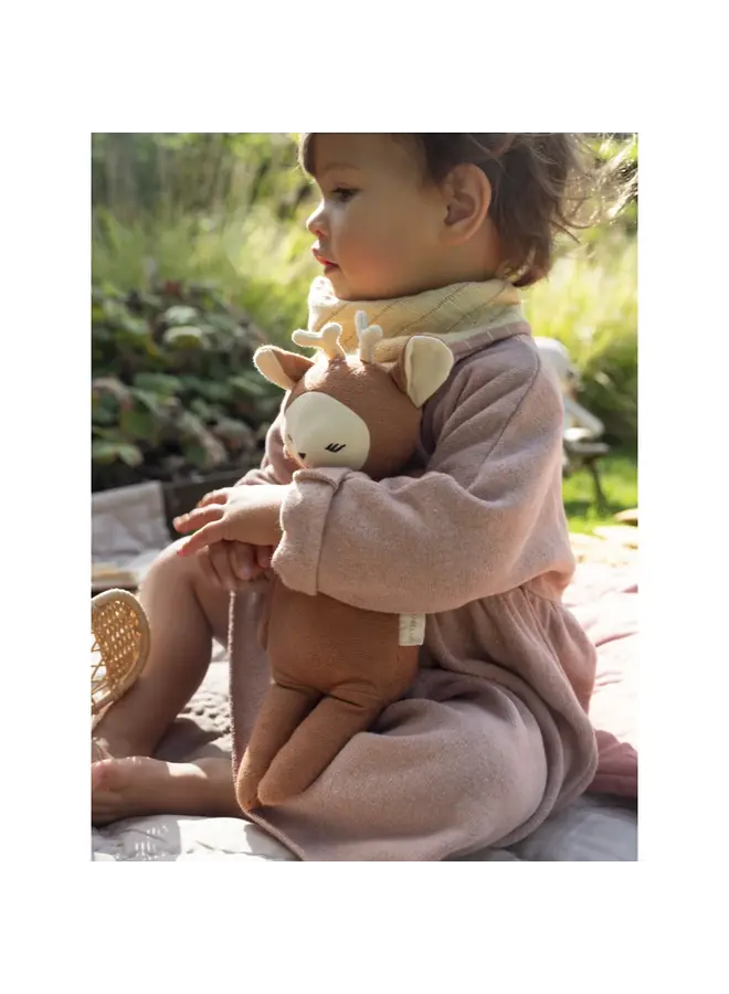 Buddy - Fiona Fawn