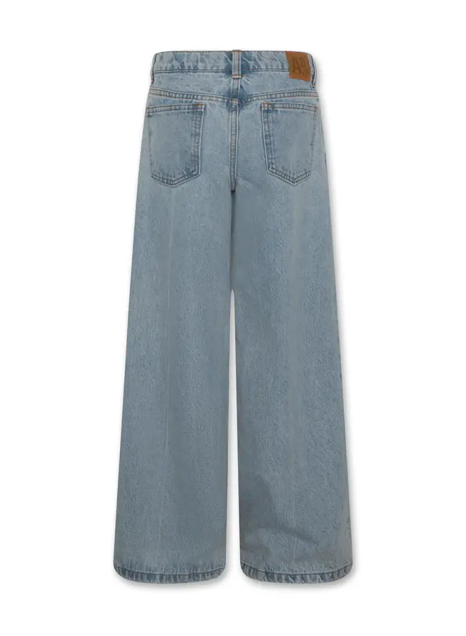 Leyla pants light Wash light