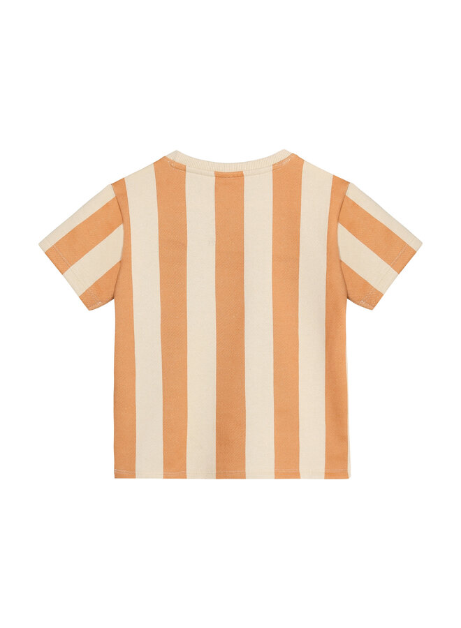 T-shirt big stripe sandstone SS26