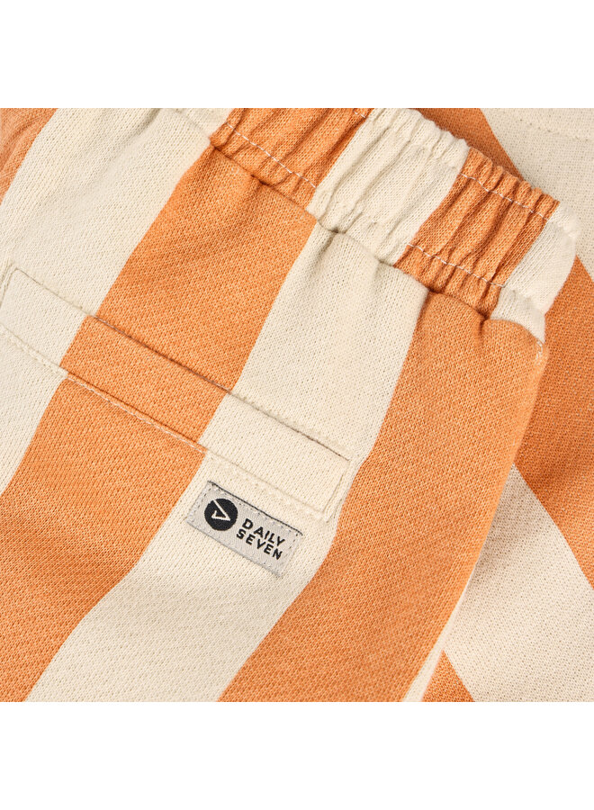 Shorts big stripe sandstone SS26