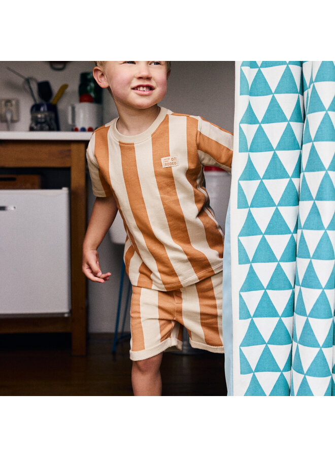 Shorts big stripe sandstone SS26