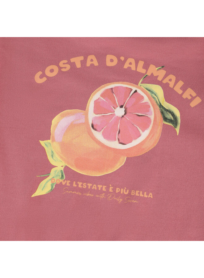 T-shirt backprint heather rose SS26