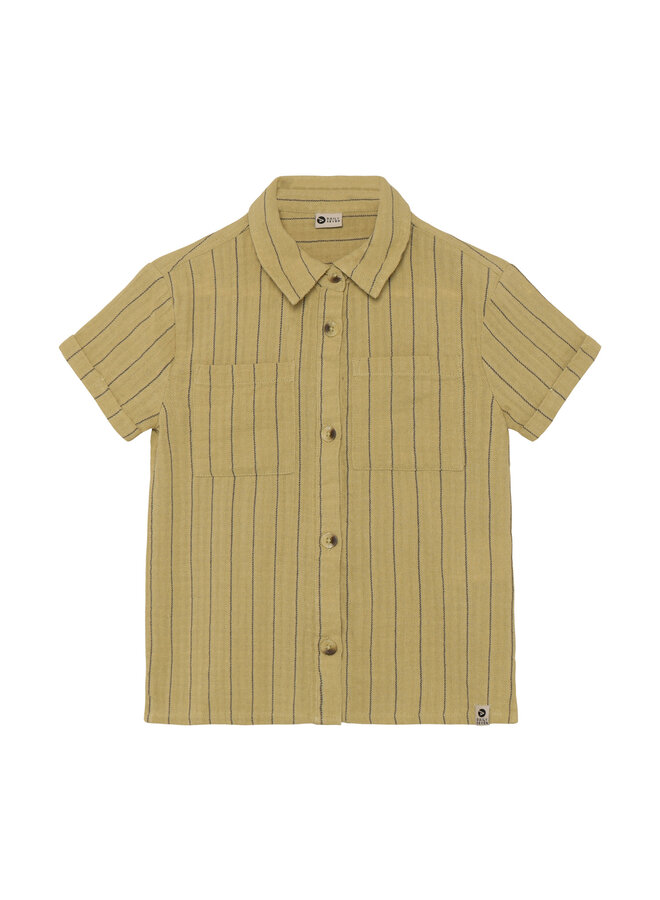 Shirt small stripe pale olive green SS26