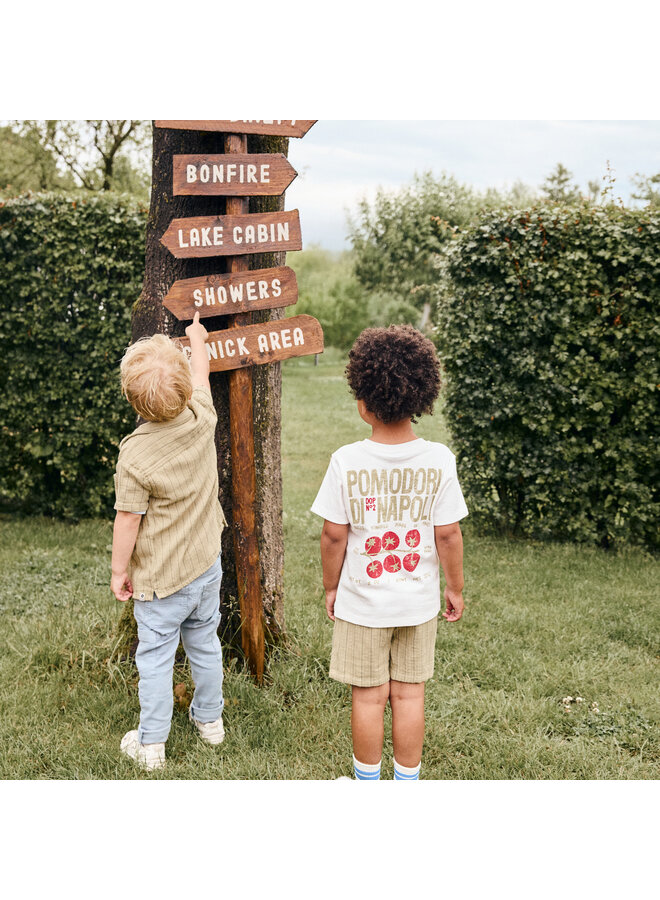 Shorts small stripe olive green SS26