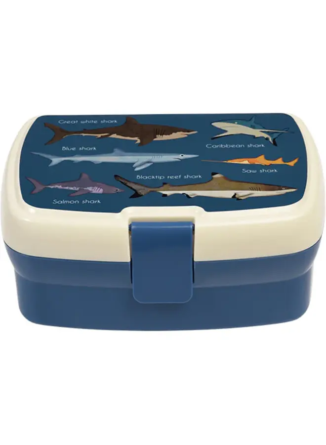 Sharks lunchbox