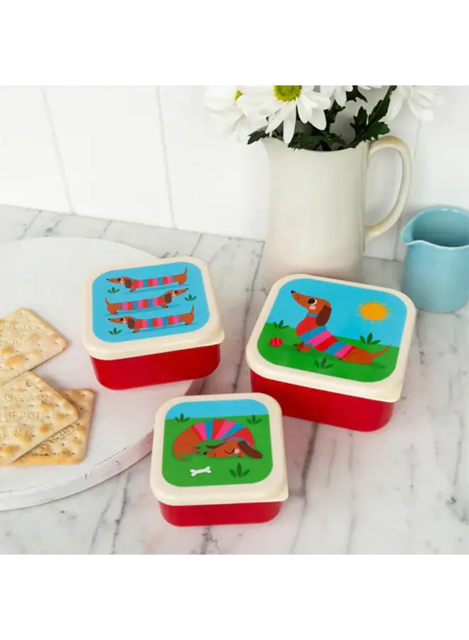 Sausage dog snackdoosjes 3x