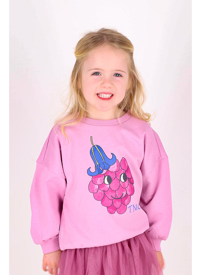 Sweater Billie Mauve mist SS26