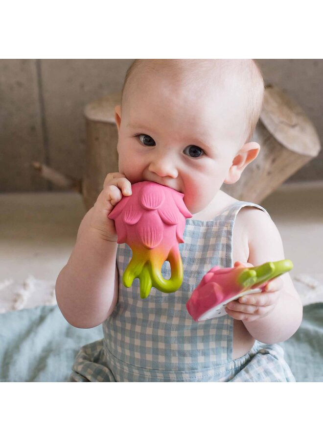 Fucsia the Dragonfruit