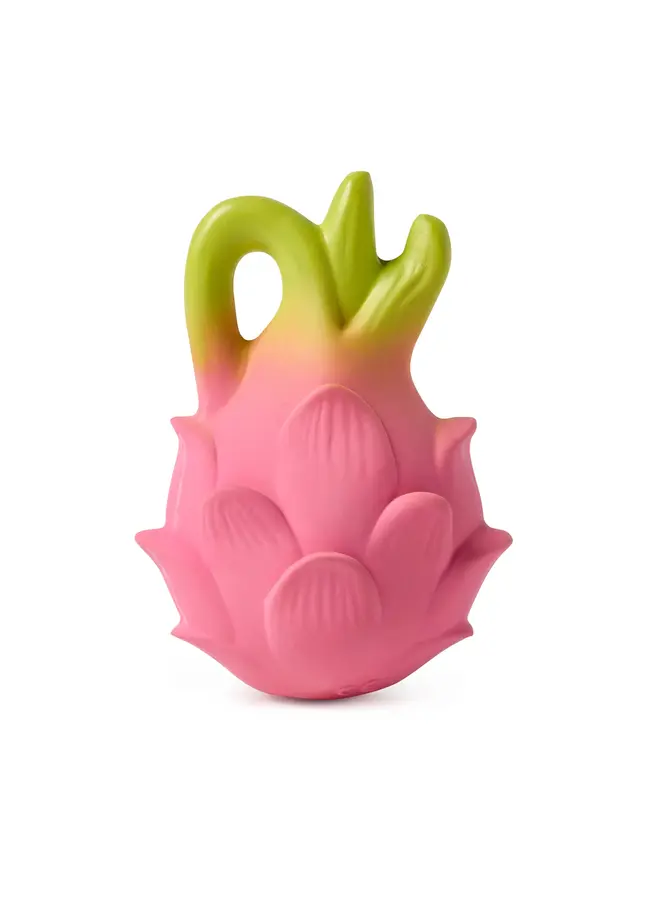 Fucsia the Dragonfruit