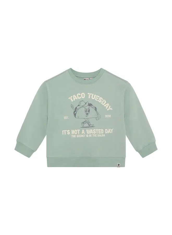 Oversized sweater Print Green milieu SS26