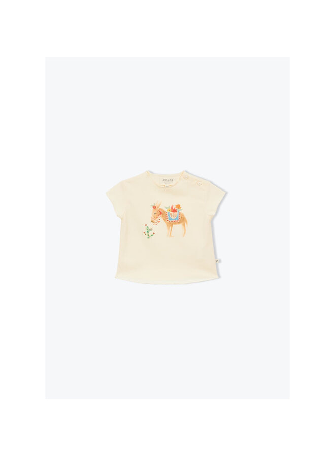 T-shirt Baby Donkey Ecru SS26