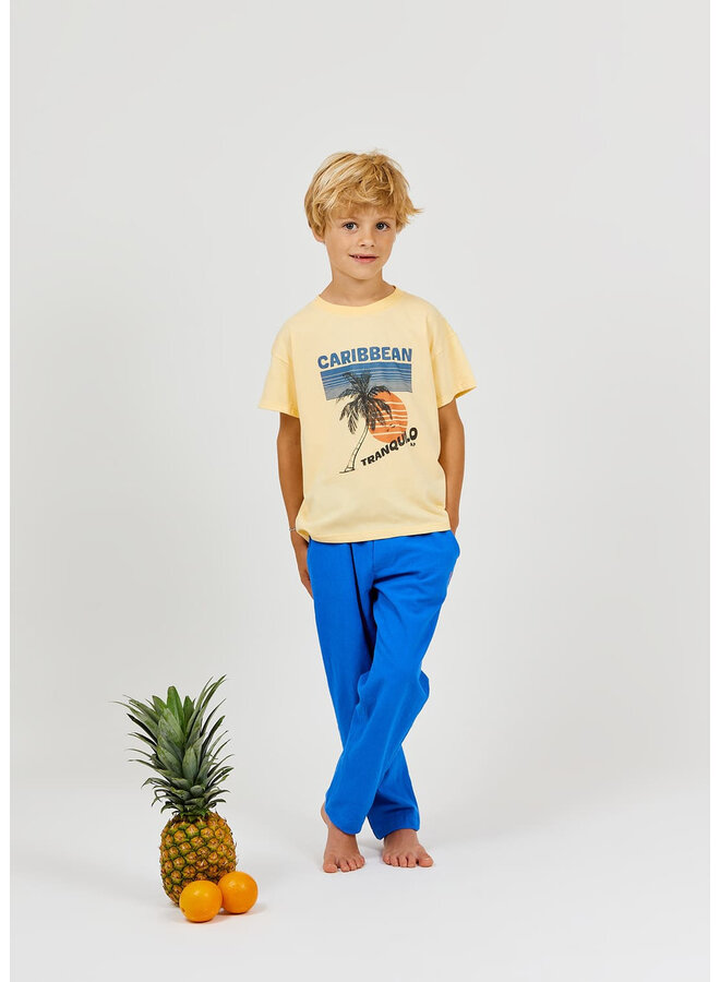 T-shirt Carribean Geel SS26