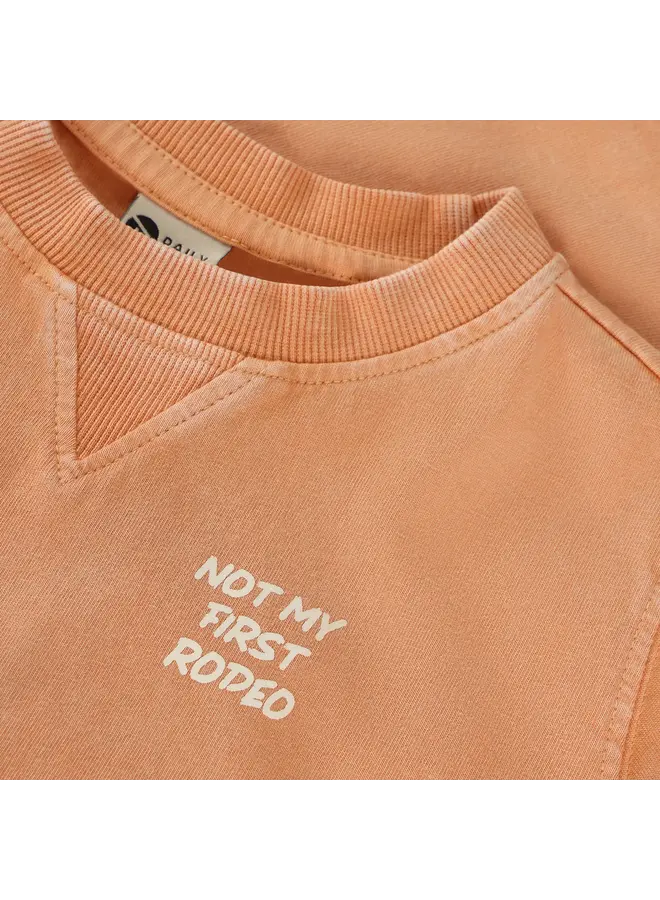 T-shirt backprint SS26