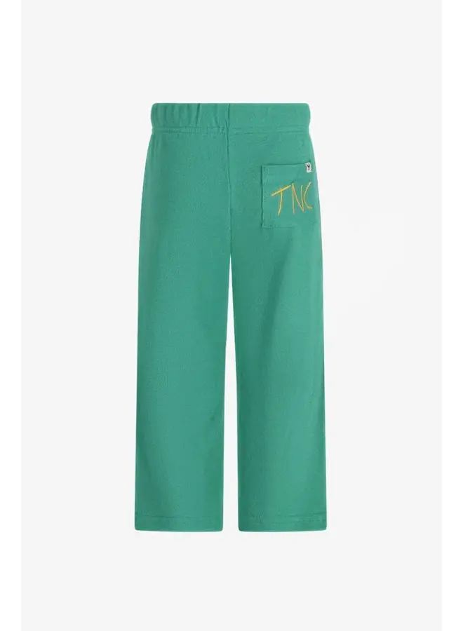 TNC pants sol green spruce SS26