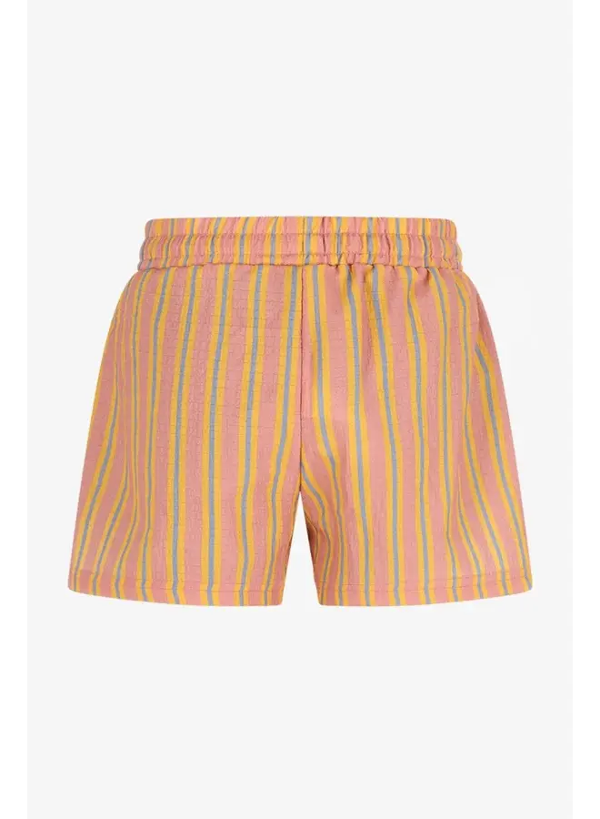 TNC pants juul solshine stripes SS26