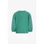 TNC sweater bobbie green spruce SS26